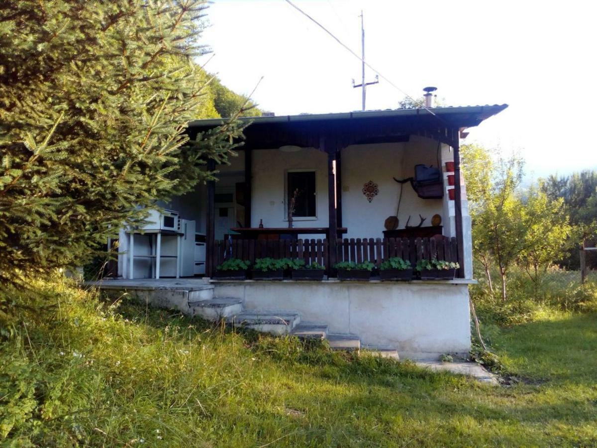 Bungalows Zdravets Berkovitsa Exterior photo