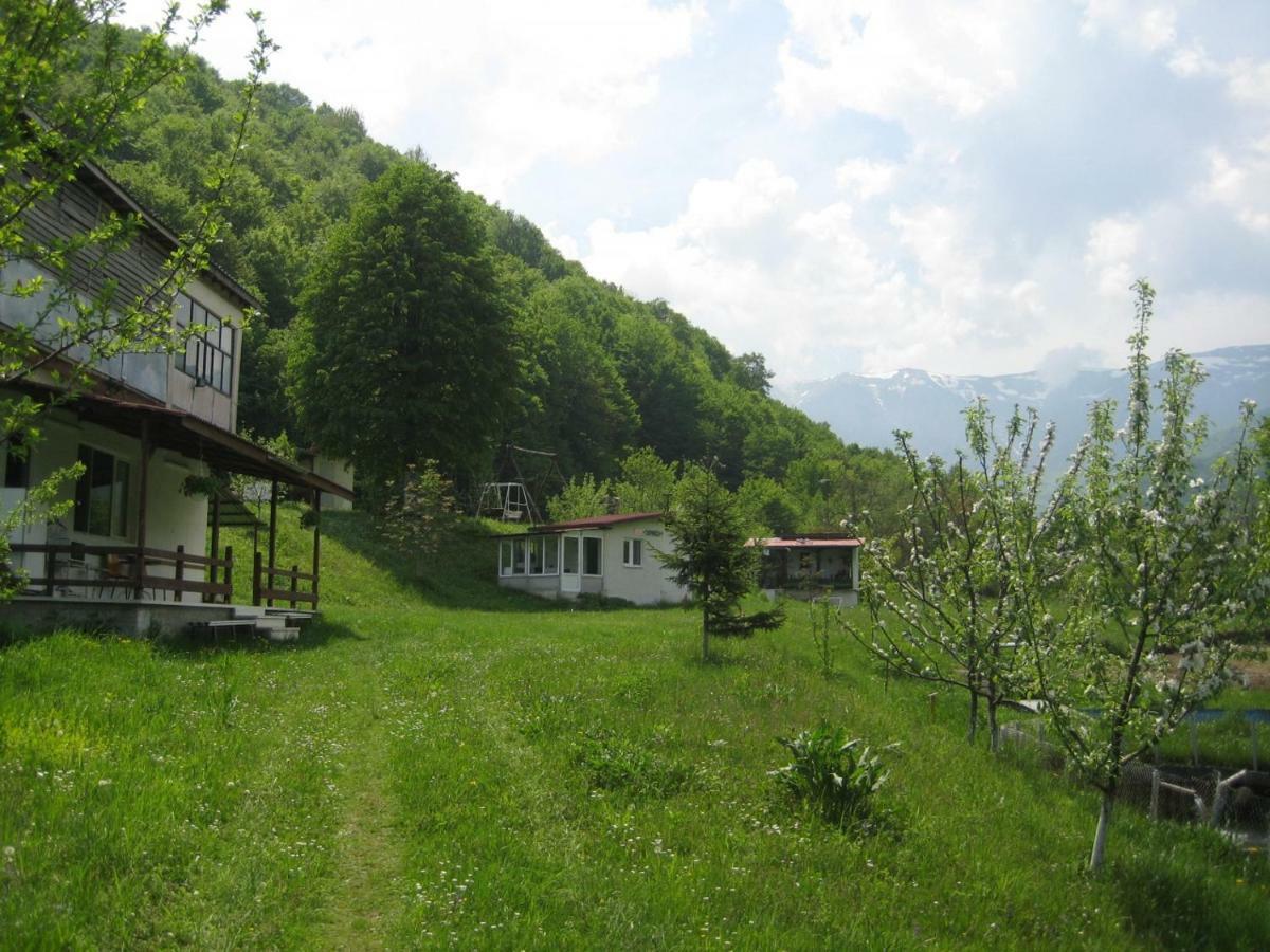 Bungalows Zdravets Berkovitsa Exterior photo