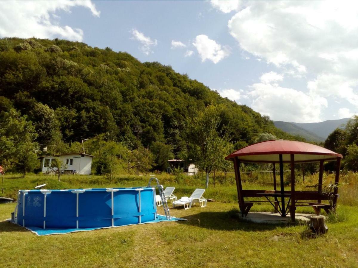 Bungalows Zdravets Berkovitsa Exterior photo
