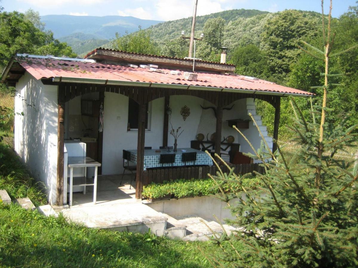 Bungalows Zdravets Berkovitsa Exterior photo