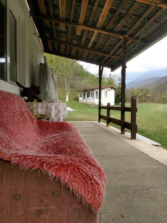 Bungalows Zdravets Berkovitsa Exterior photo